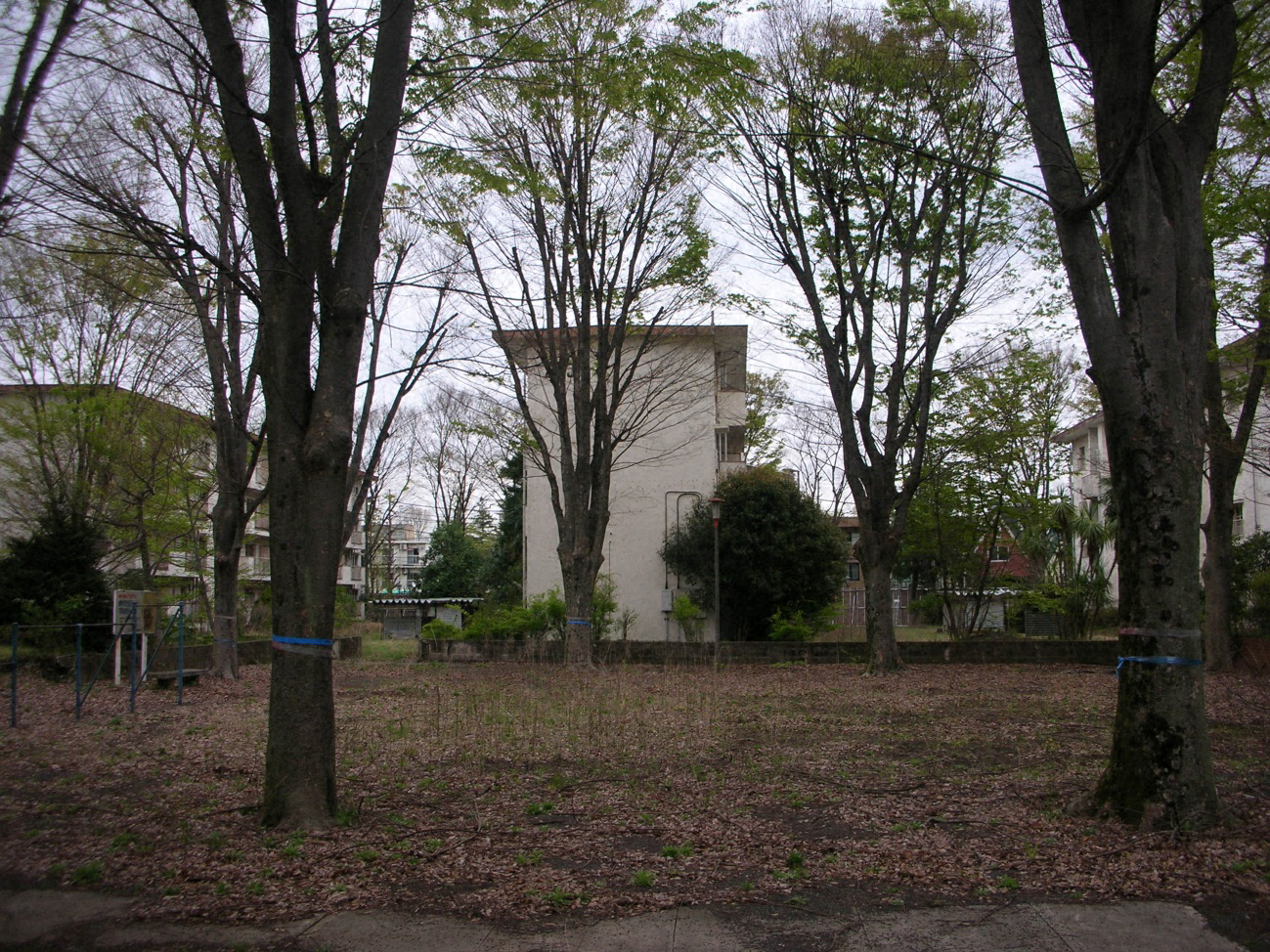 写真2 再生工事開始前の状態(住棟に囲まれた広場:当時の学生の撮影による)