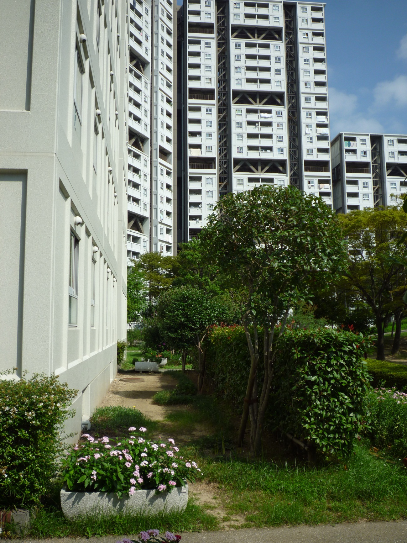 図7 2013年9月現在の芦屋浜高層住宅